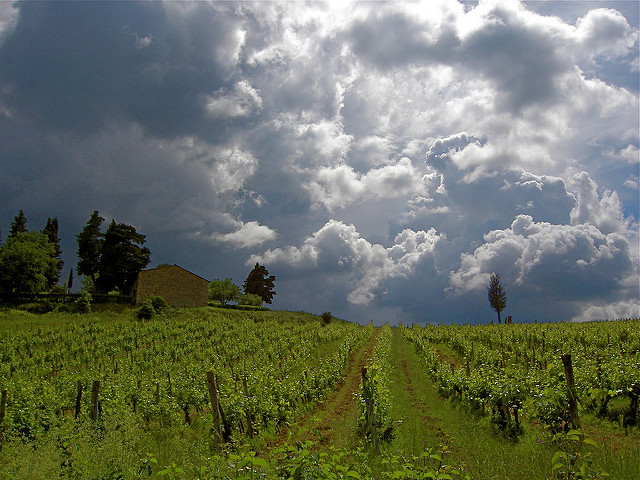 Is Global warming changing our wine?
